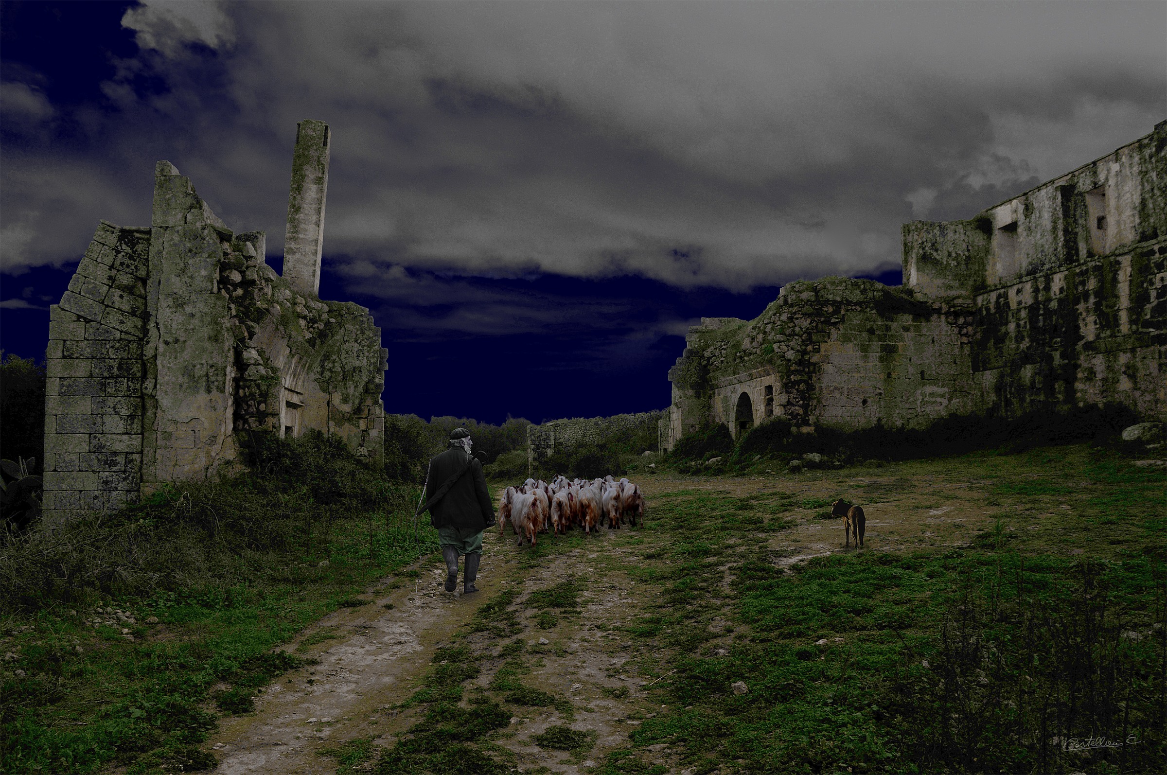 Ruderi di una vecchia masseria  Paesaggio