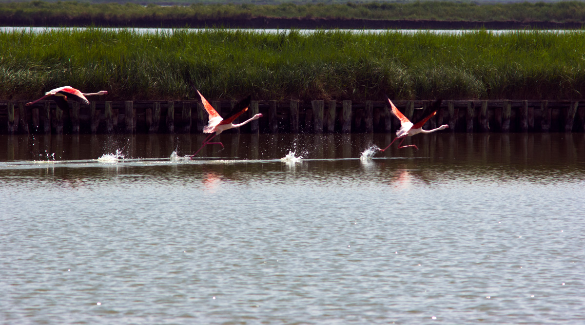 pronti per il decollo