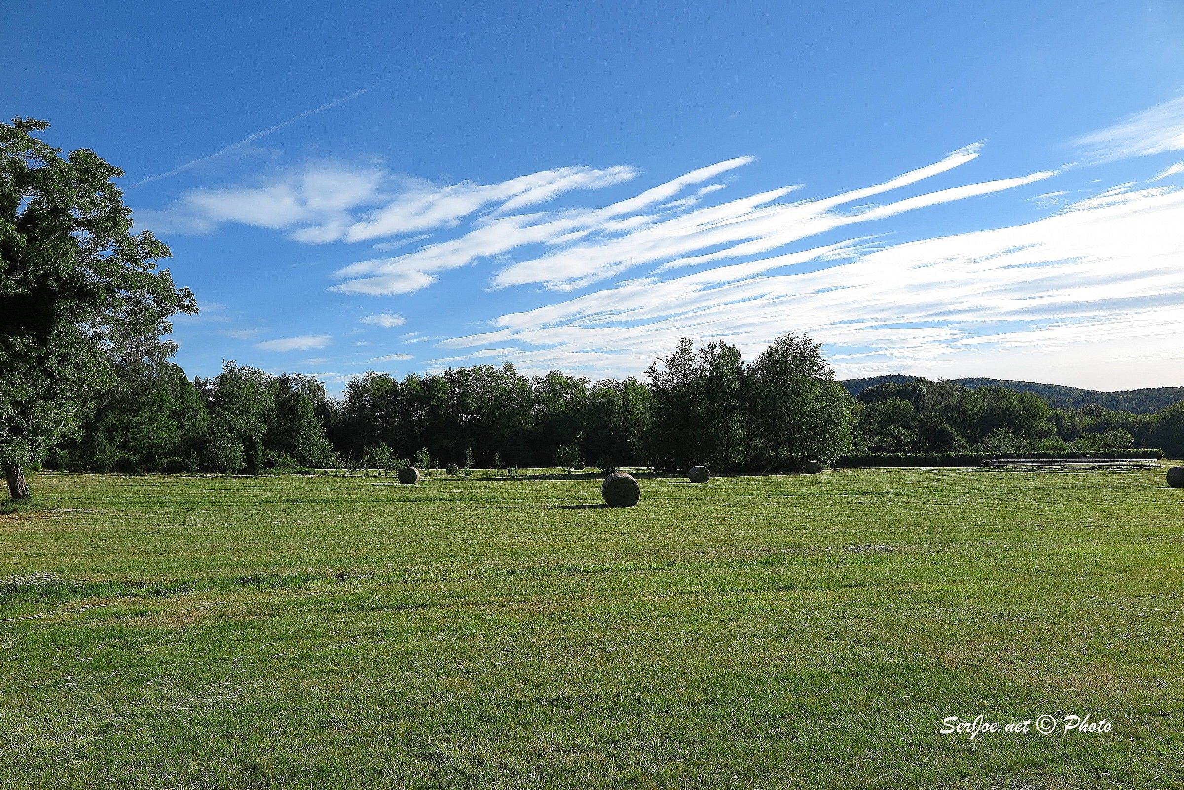 prova G1X mark II - jpg da macchina senza PP