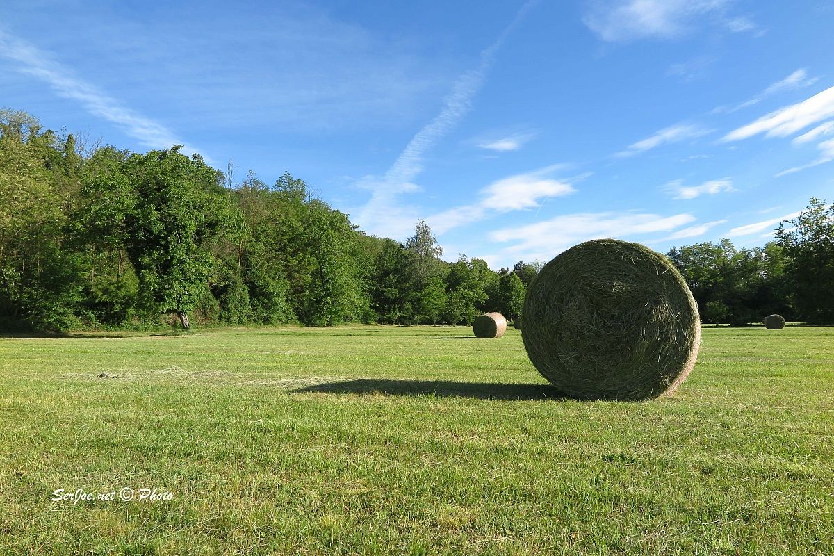 prova G1X mark II - jpg da macchina senza PP