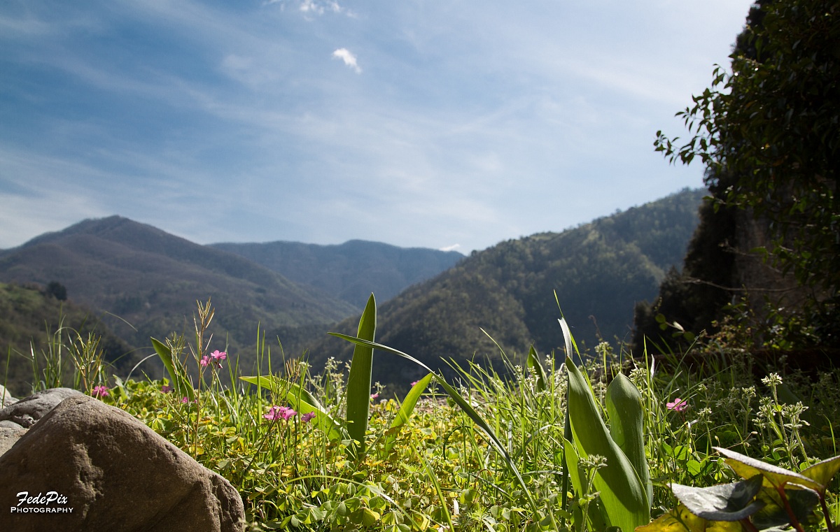 In pace immerso nella natura