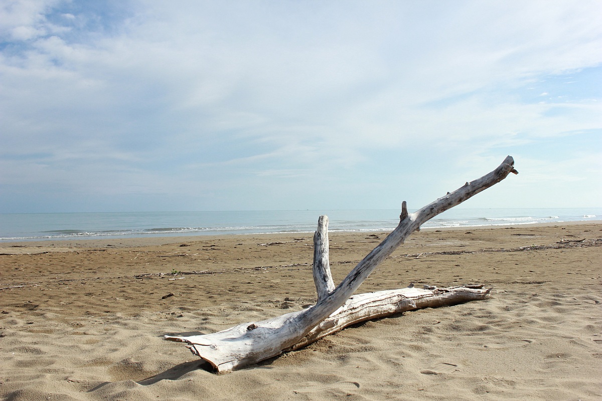 Brussa beach of Caorle (Ve)