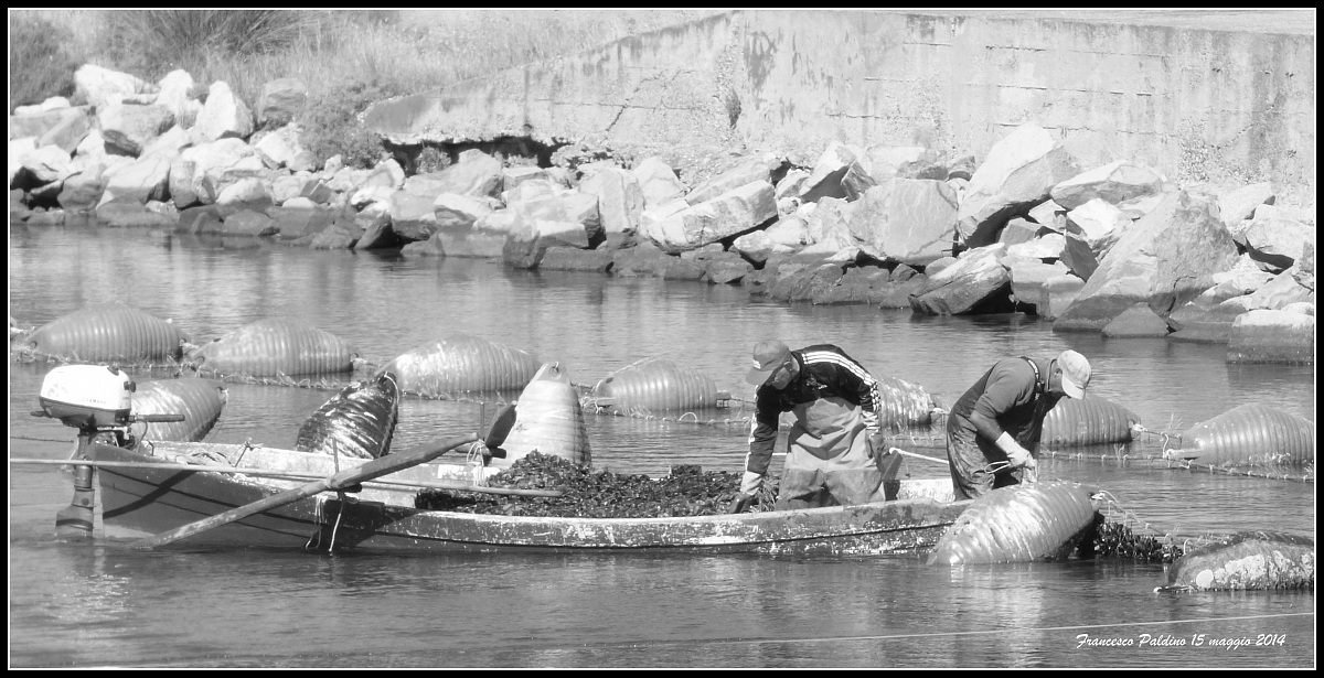 Pescatori di Cozze