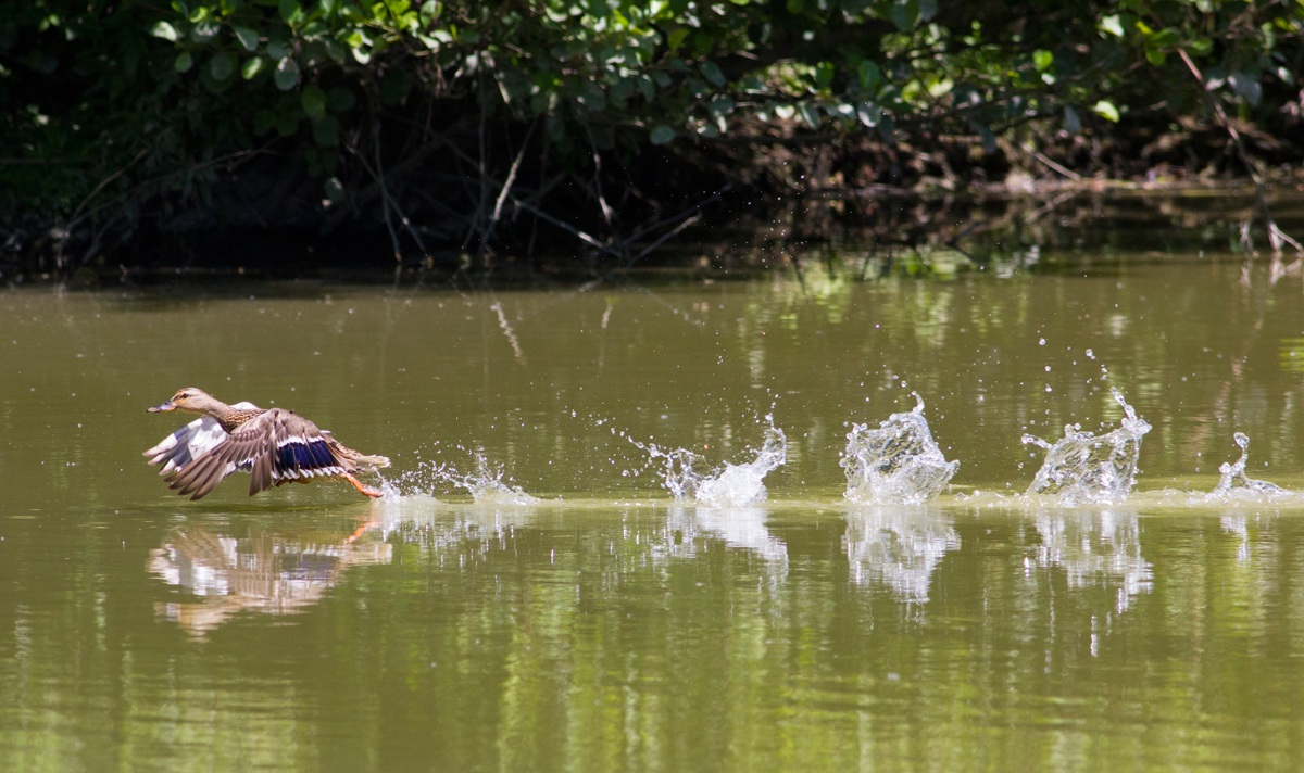 allacciare le cinture...si parte !!!