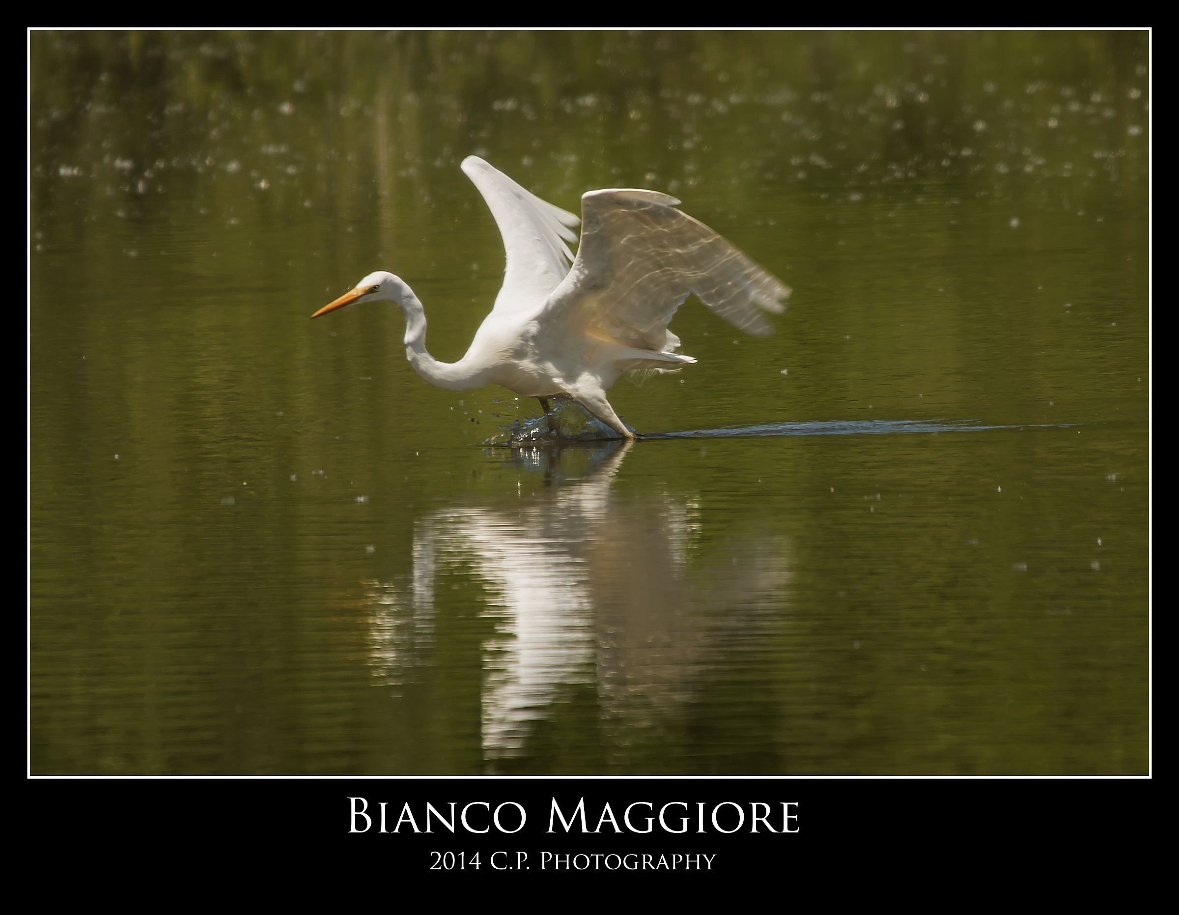 Atterraggio morbido ...