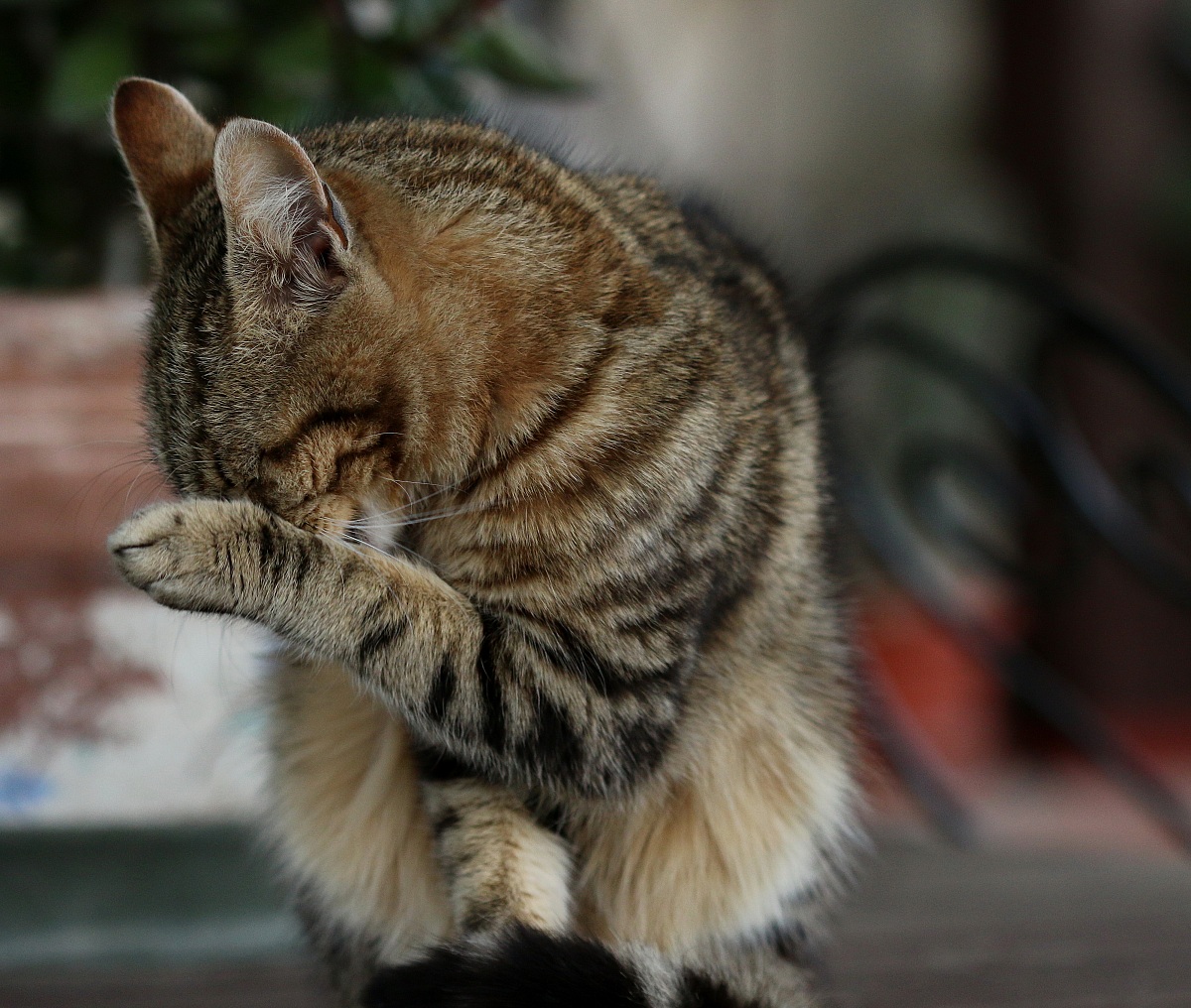 not photograph me that I am ashamed ....