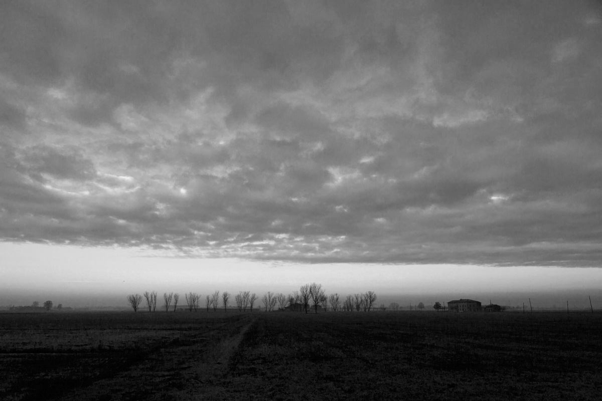 Campagna di Trecasali (pr)