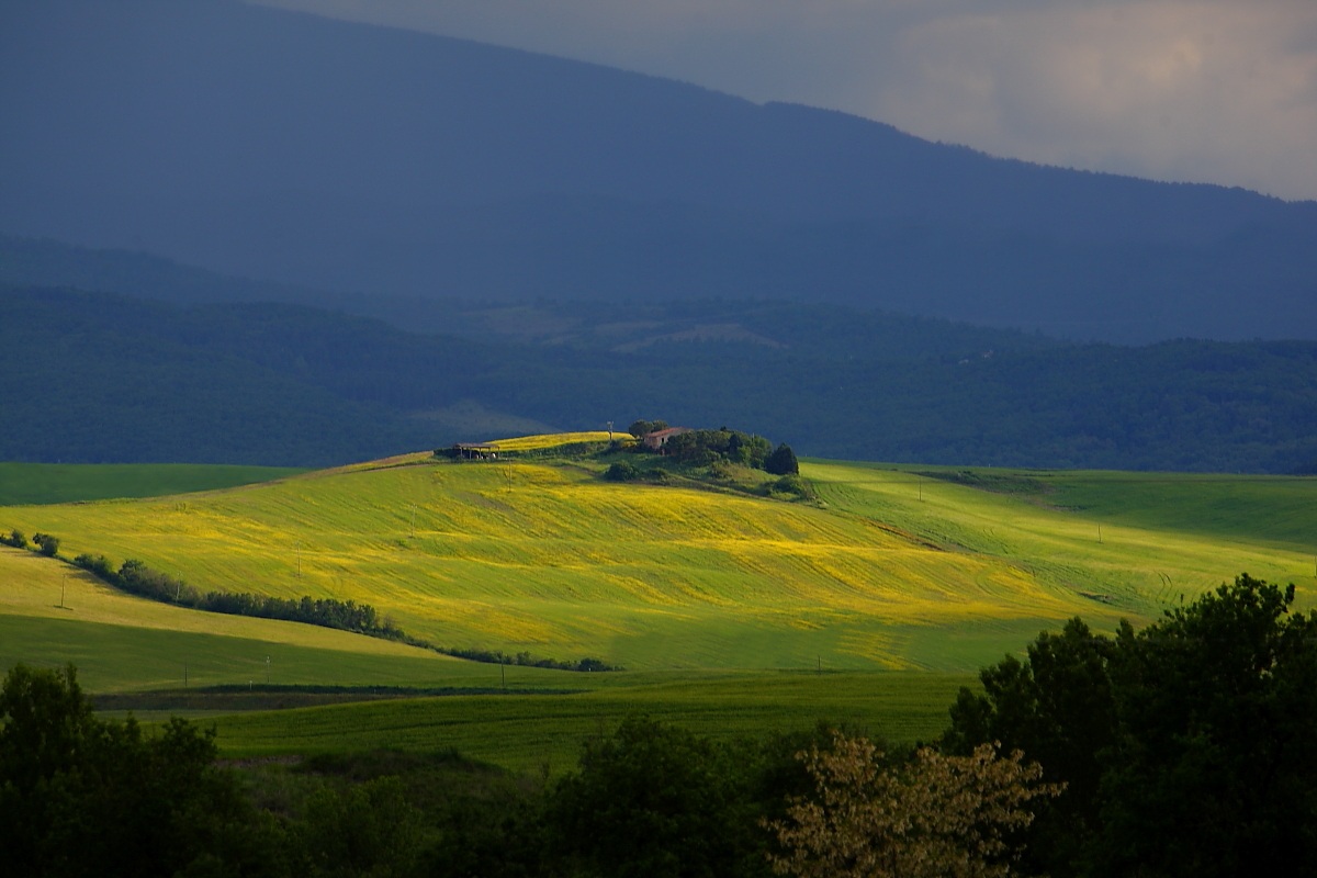 For a moment, a ray of light ...