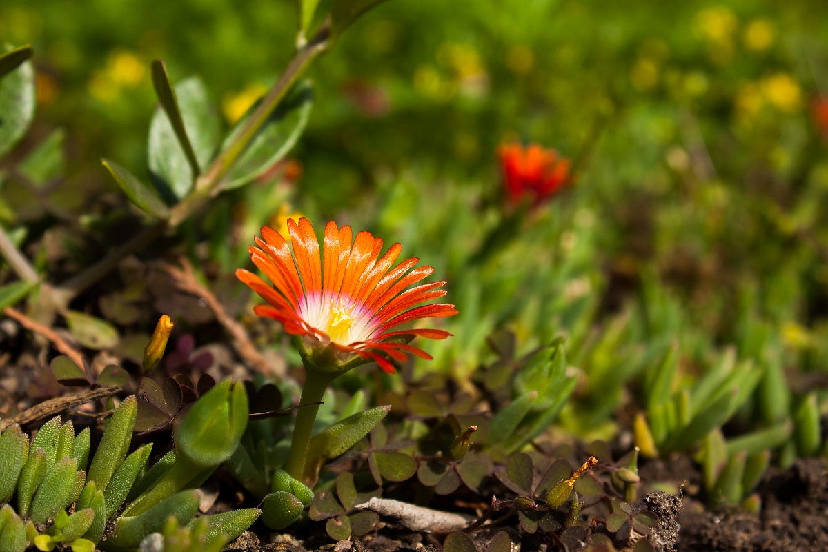 Fine di una giornata