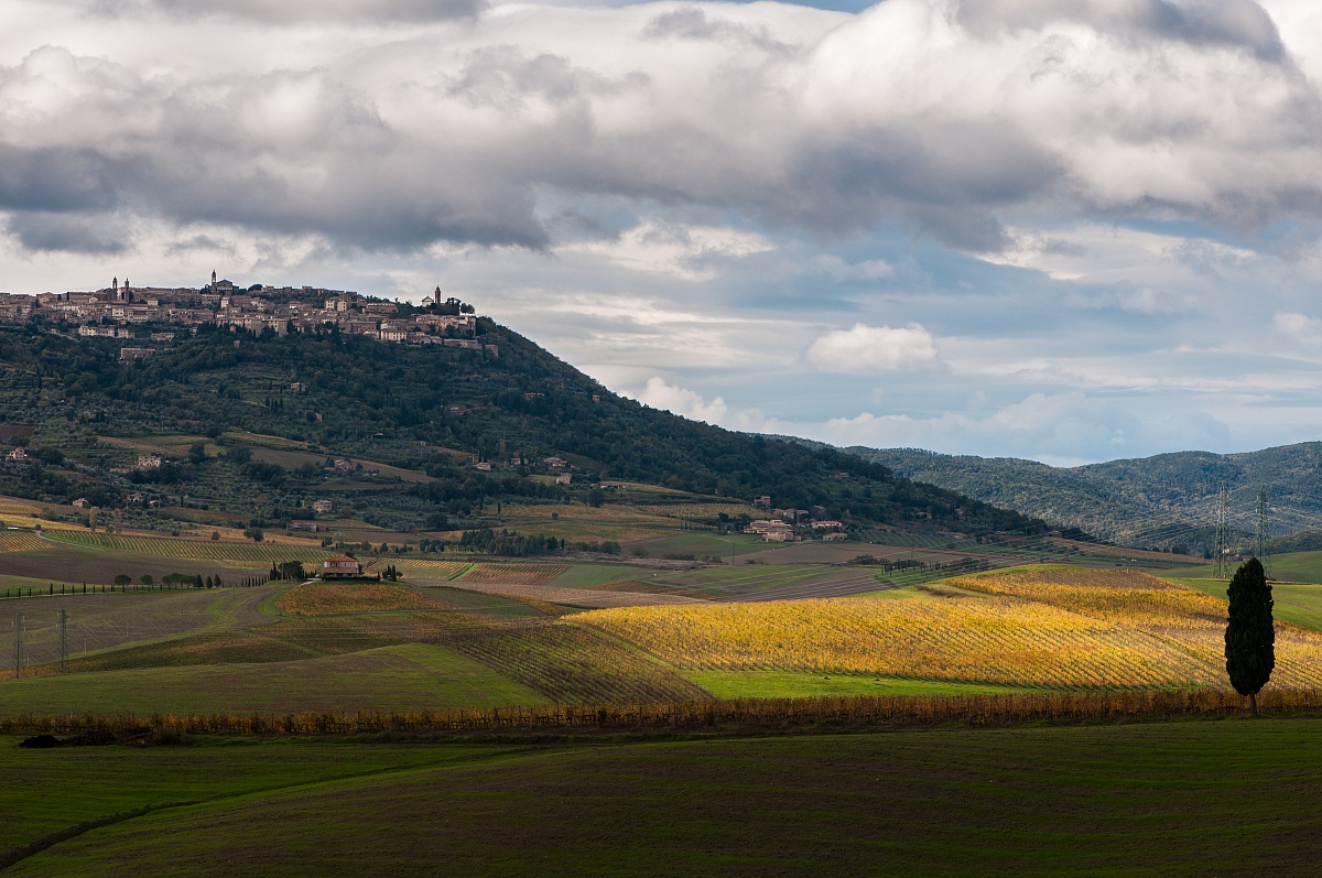 Fall in Montalcino