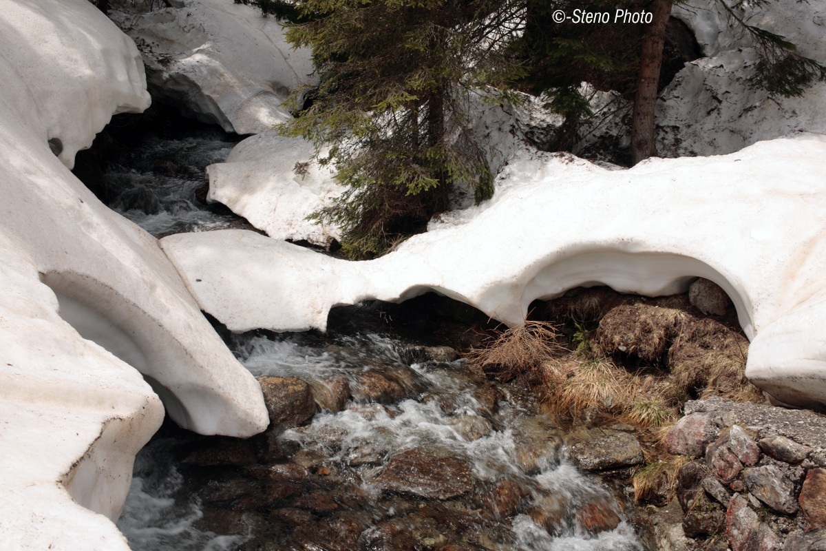 The Meltdown - Rio Vendrame