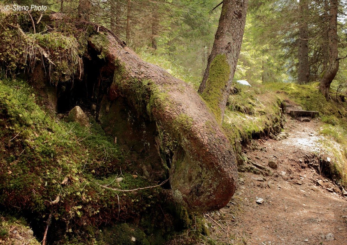 A virtue of necessity ...