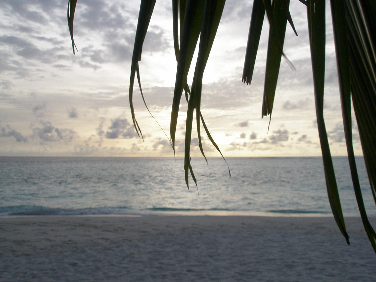 Tramonto maldiviano 1