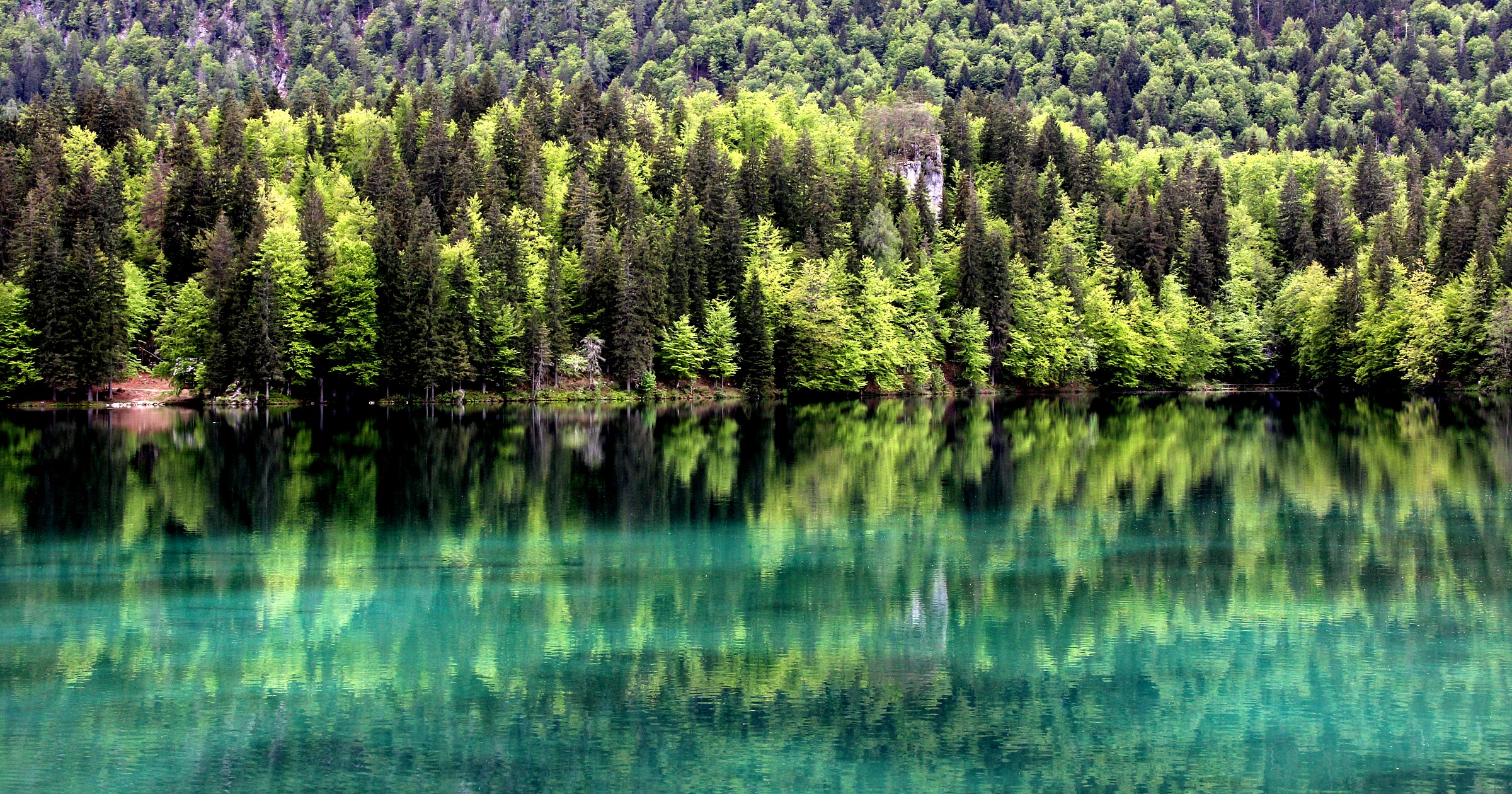 La tavolozza dei verdi