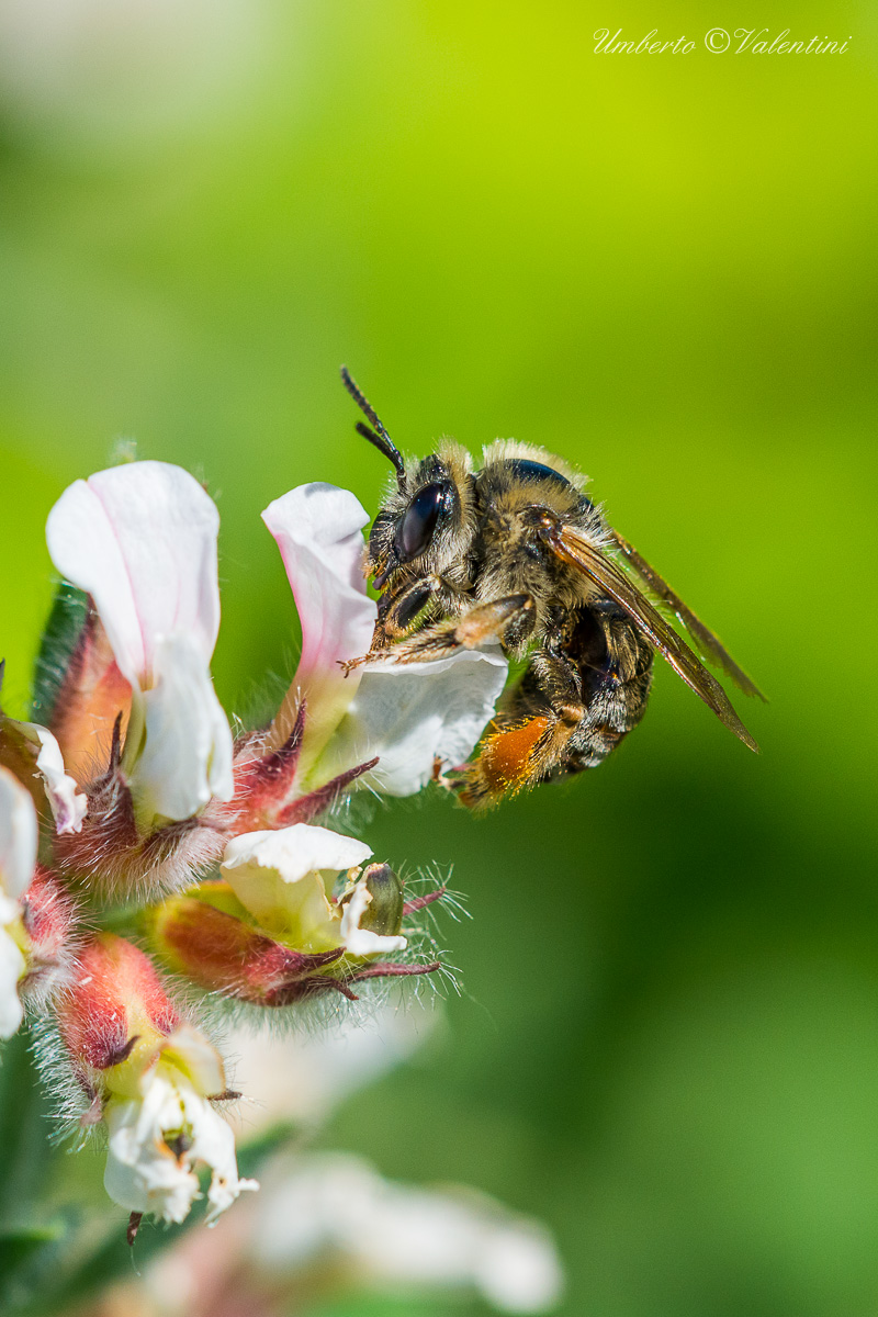 Ancora uno e me ne vado