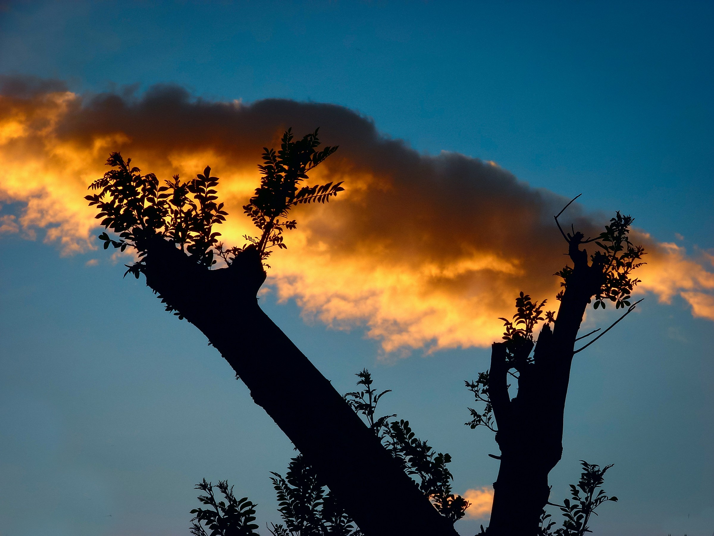 While supporting the cloud