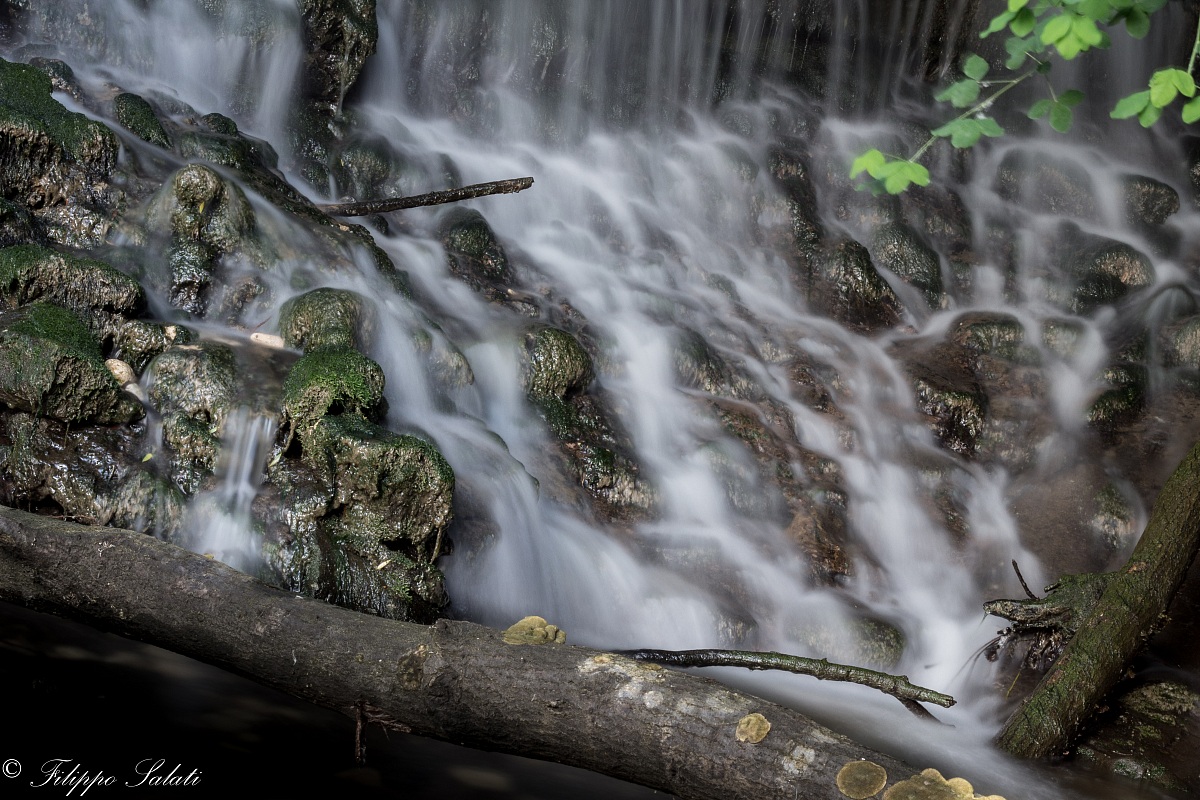 Tutti allo schioppo!!