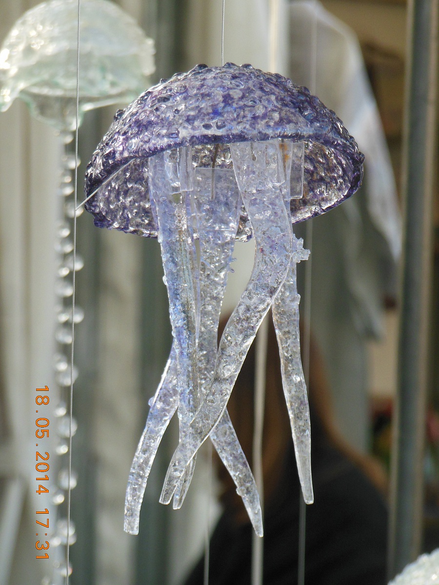 meduse