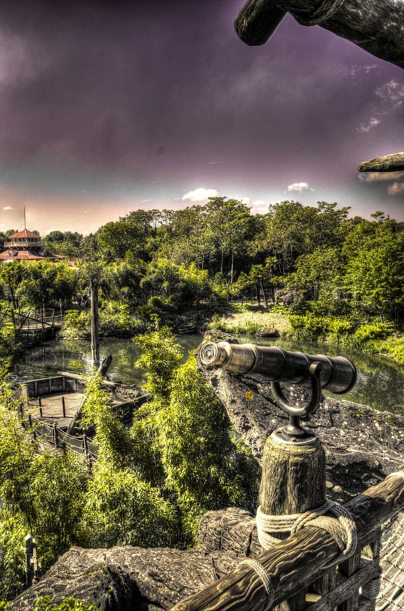 Disney Park - Vista dall'albero