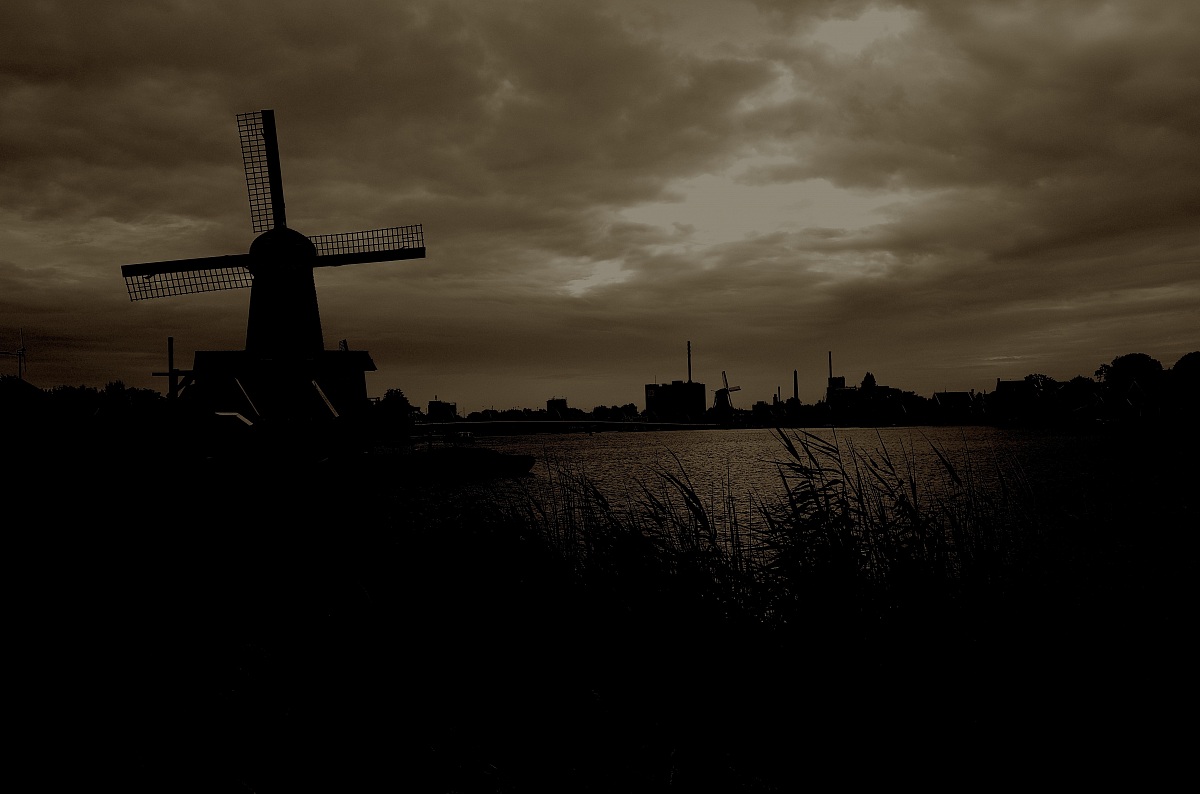 Dintorni di Amsterdam