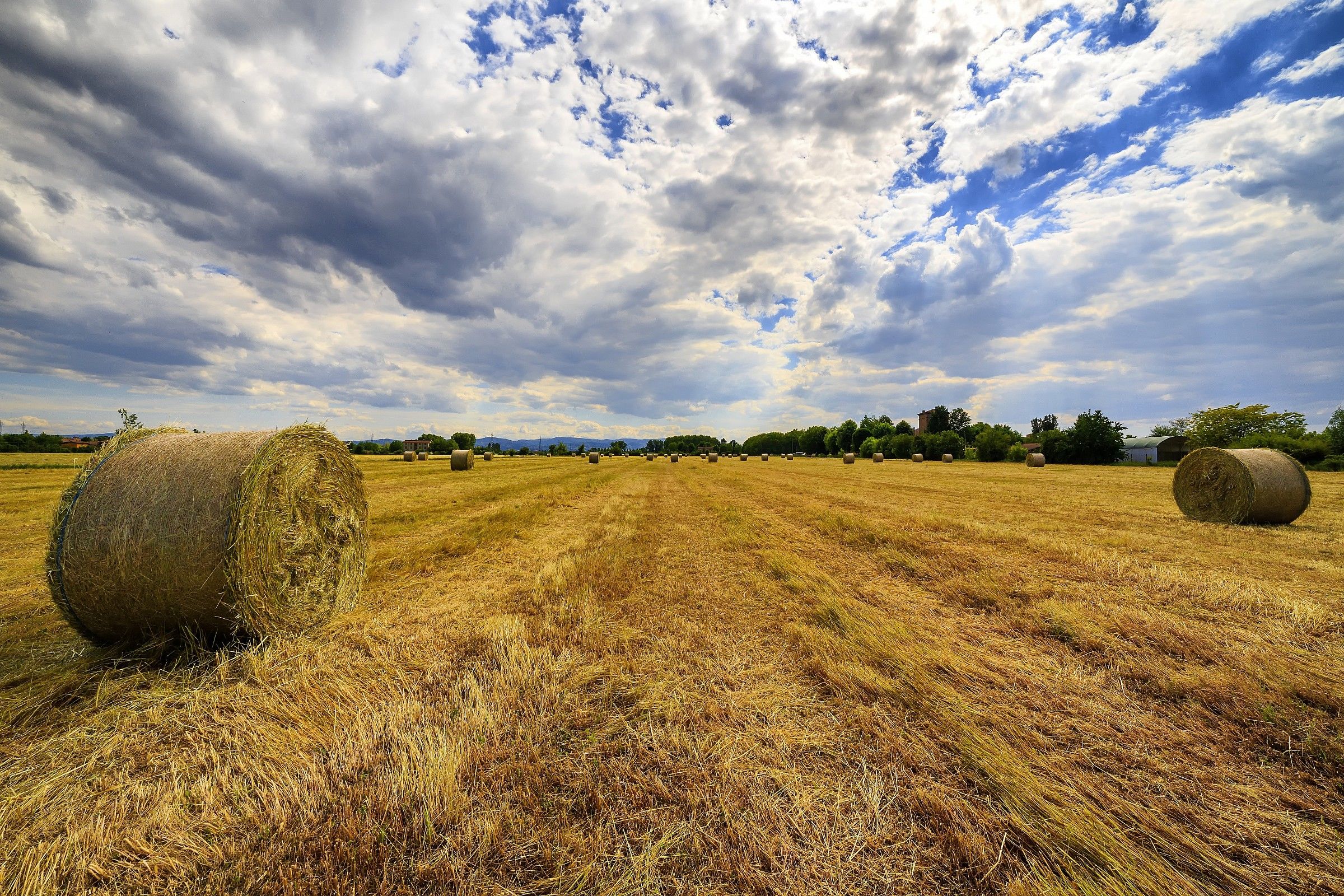 looking at the horizon ...