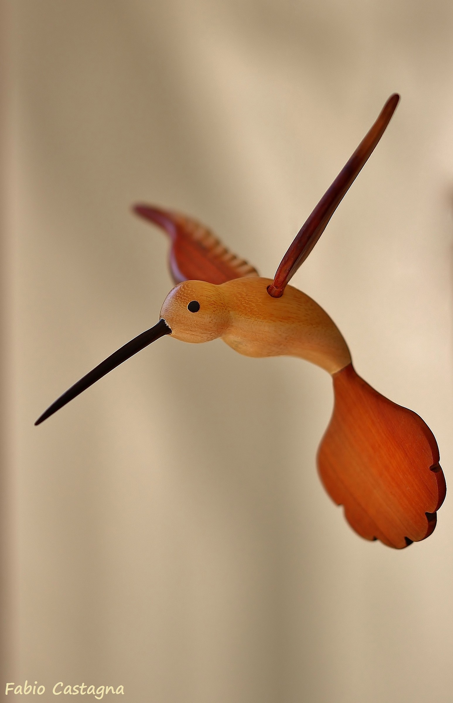 Evviva, posso volare anch'io!!!