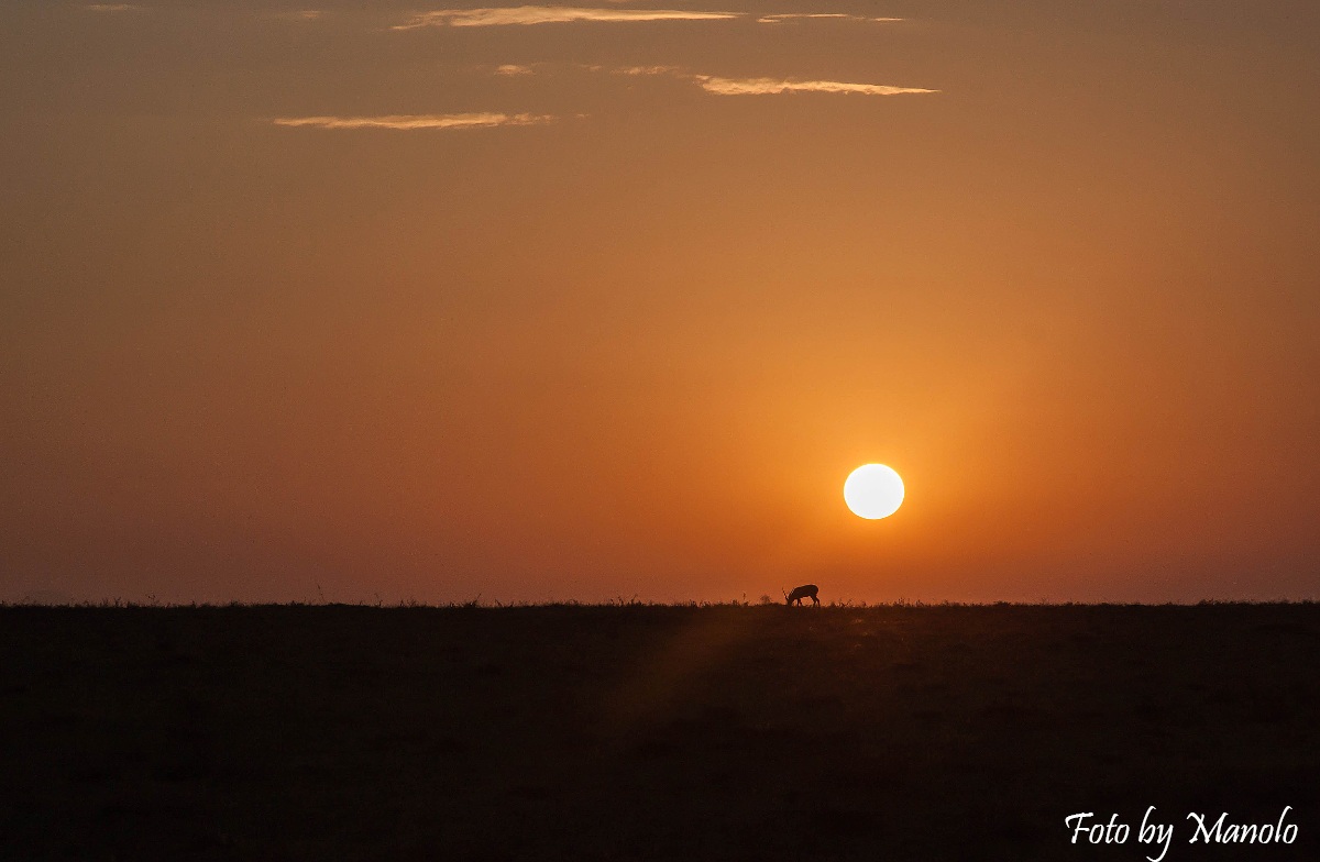 Un nuovo giorno nel Serengeti