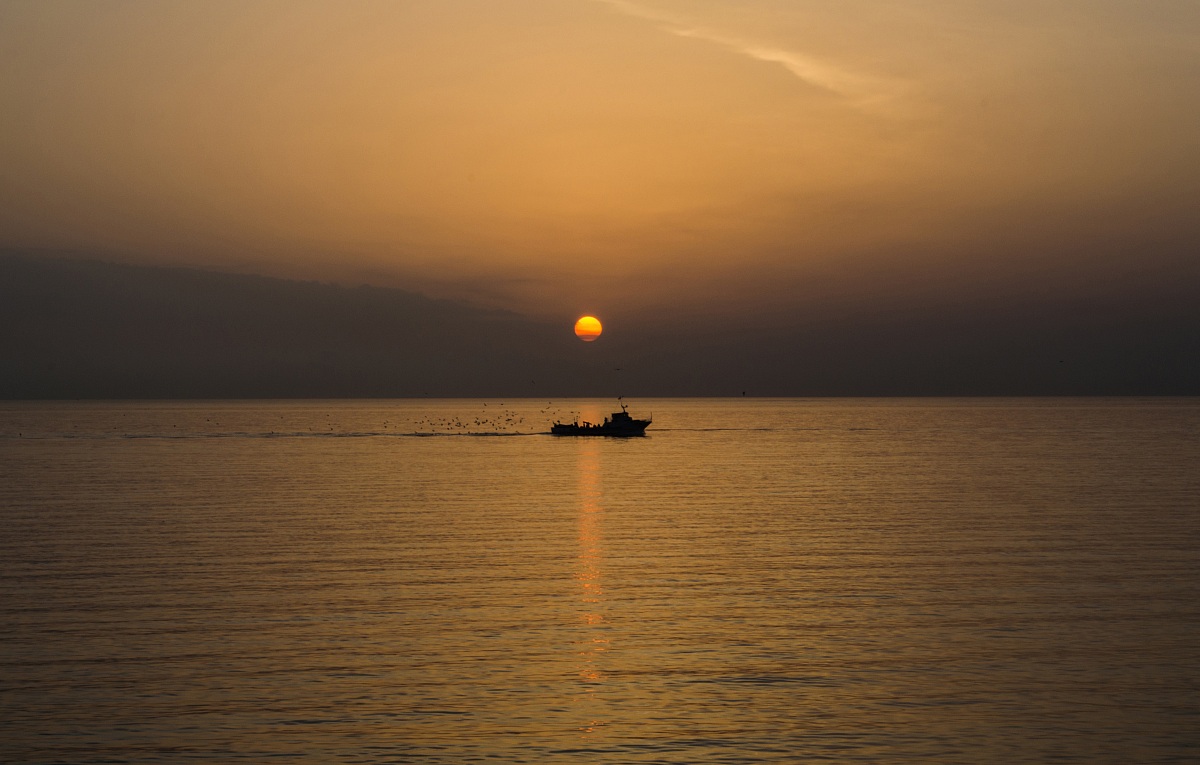 The early bird catches fish ...