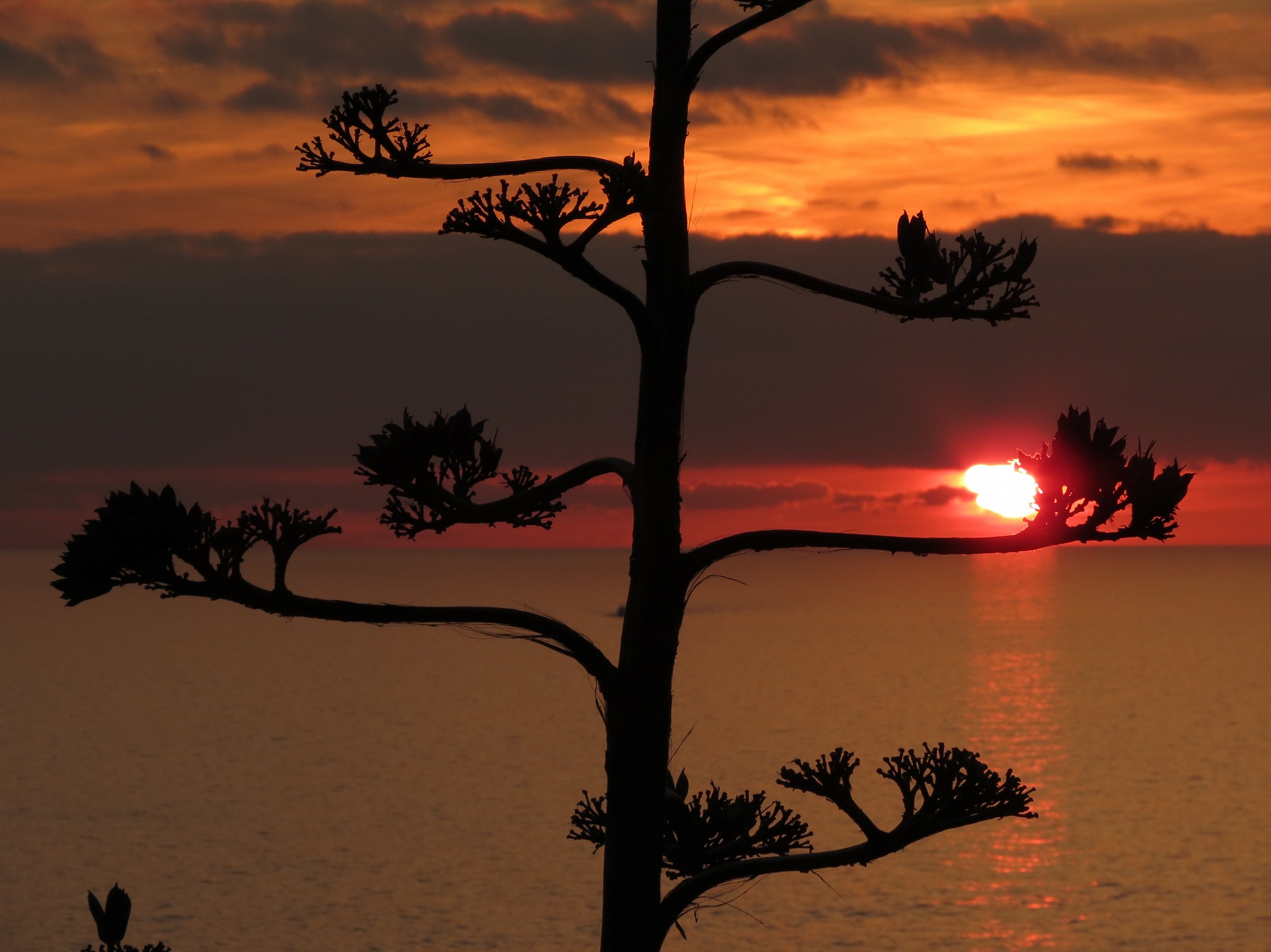 Tramonto a Portovenere
