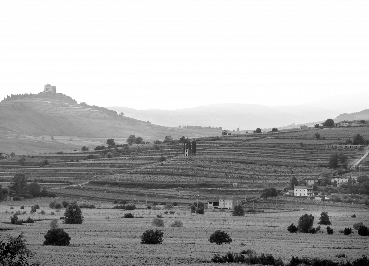 Tra i colli di Soave (vr)