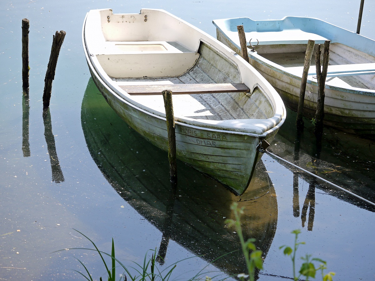 Old boat on the river