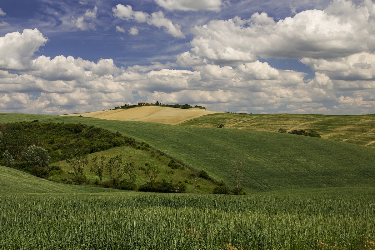 Siena non delude mai...