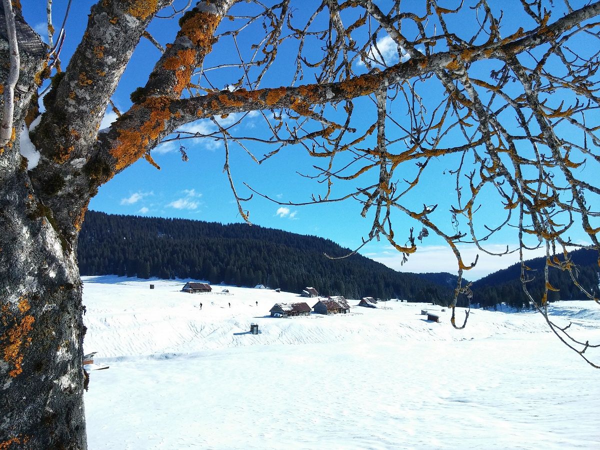 Sulle piste da fondo