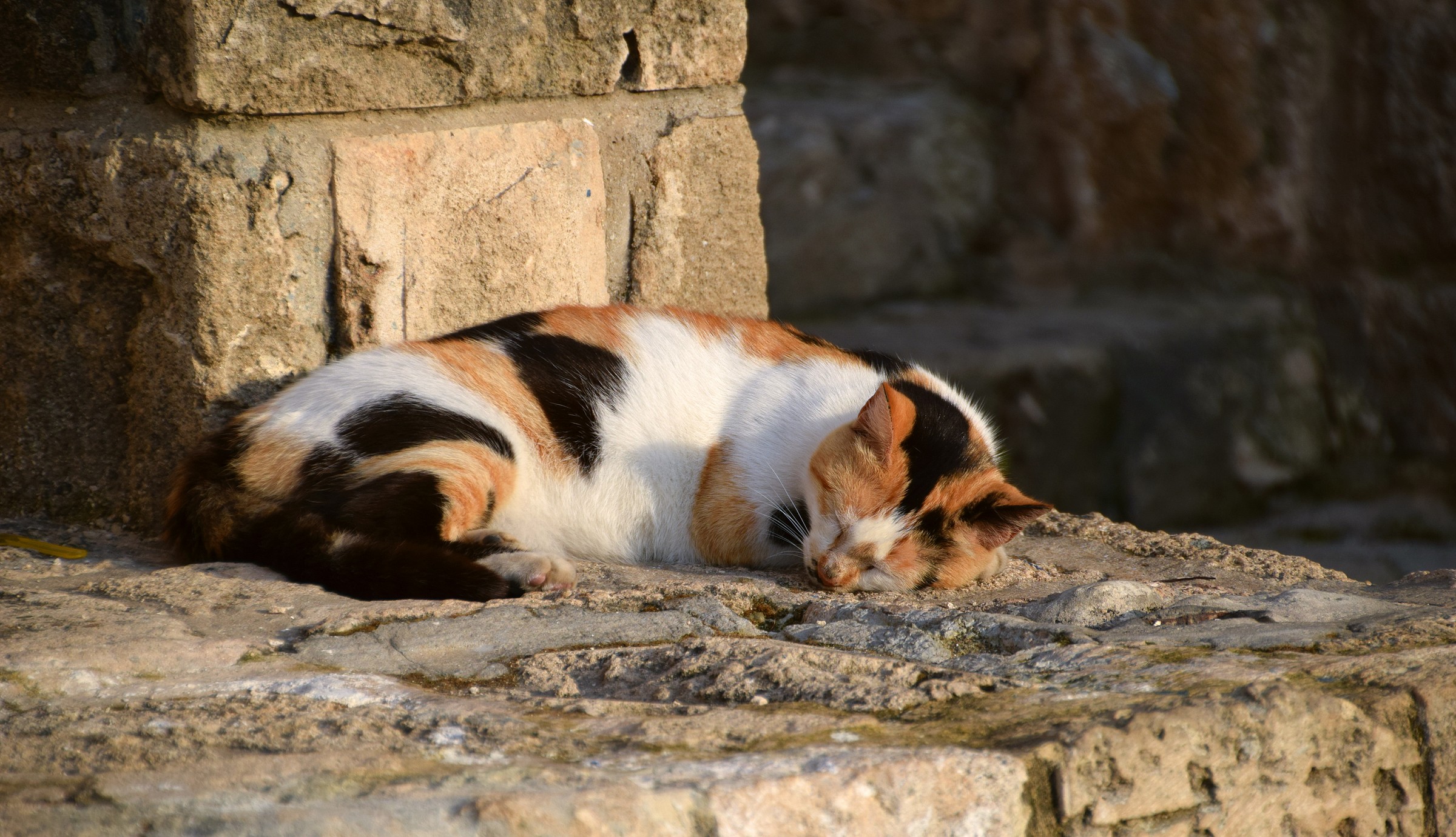 ..e Ar× se la dorme...