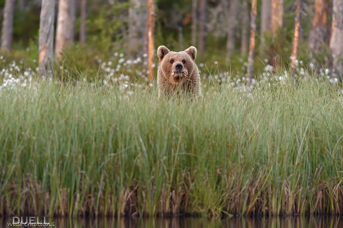 ... In the midlle of the night