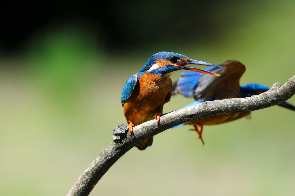 Intimacy violated 3/3