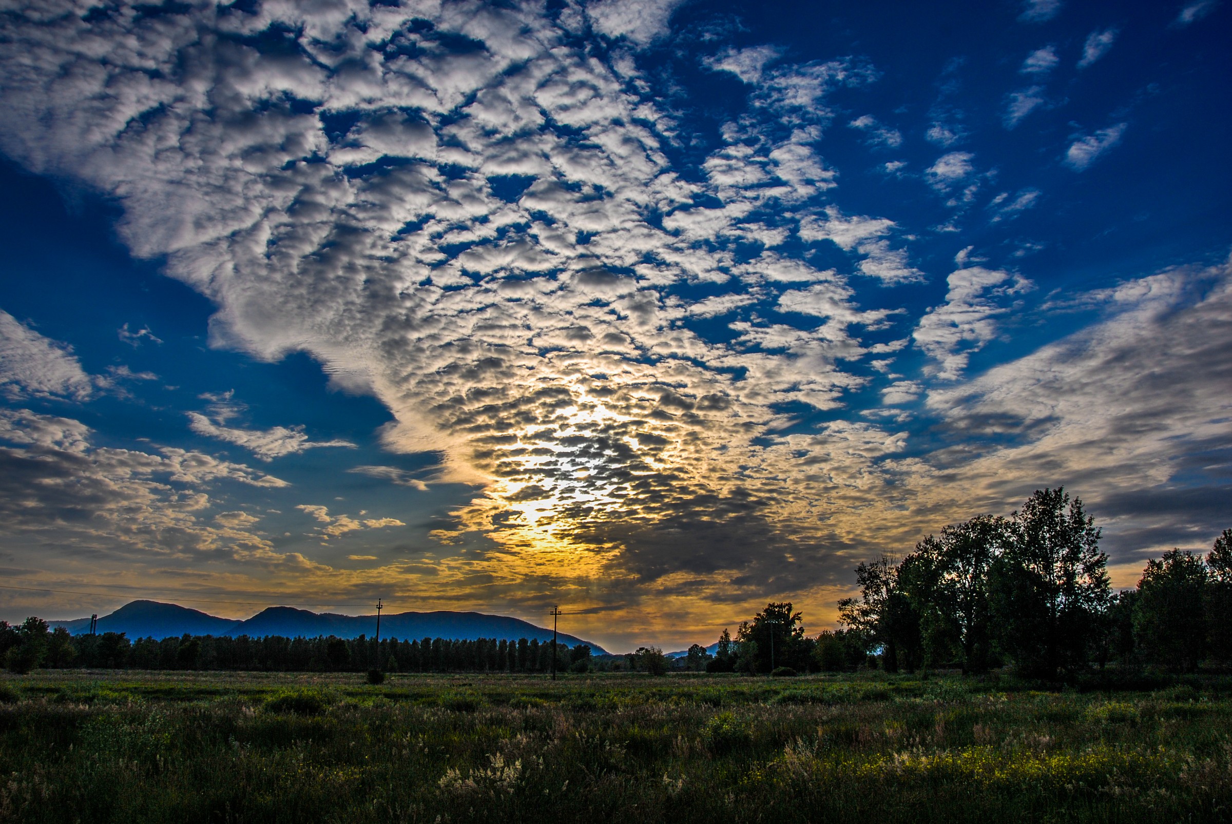 tramonto tra i campi
