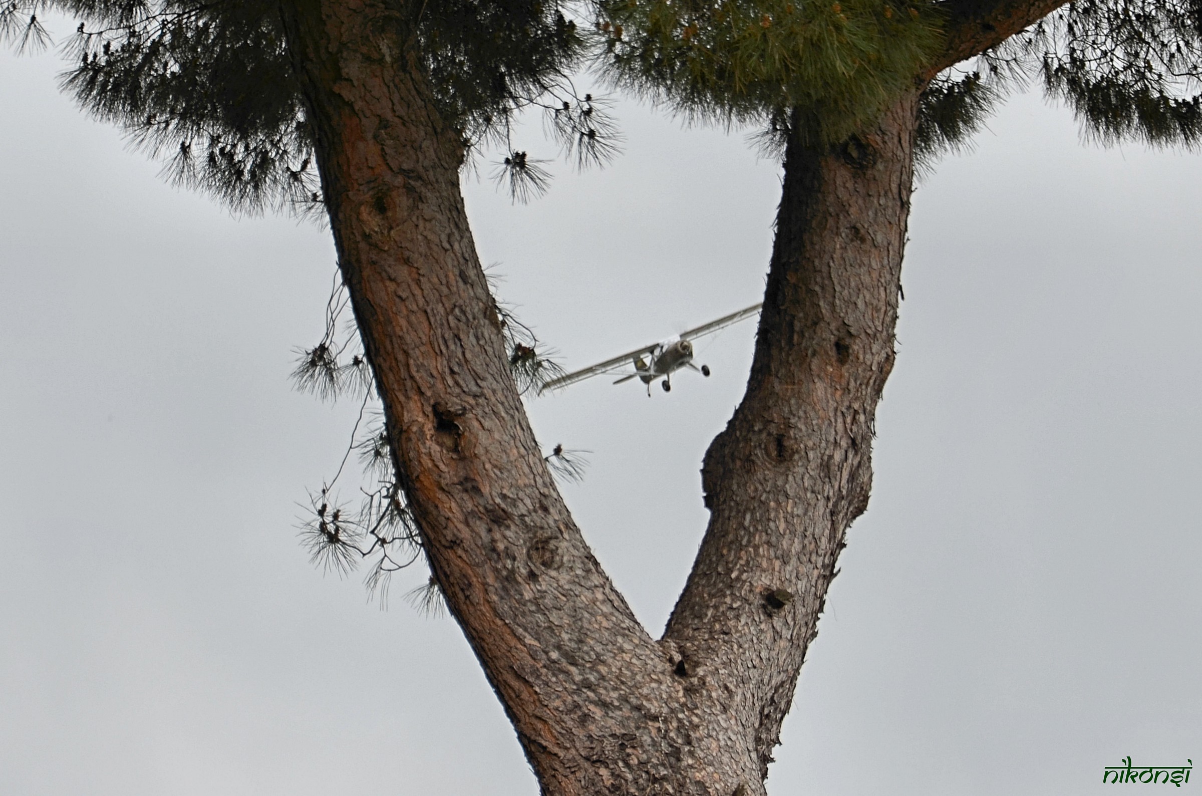 There goes! ... Or we do not pass??