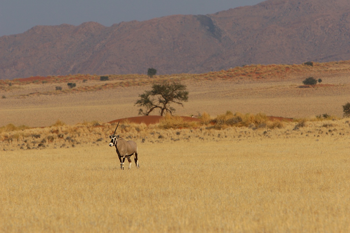 nel territorio del vecchio guerriero
