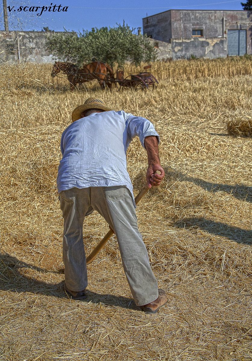 the farmer