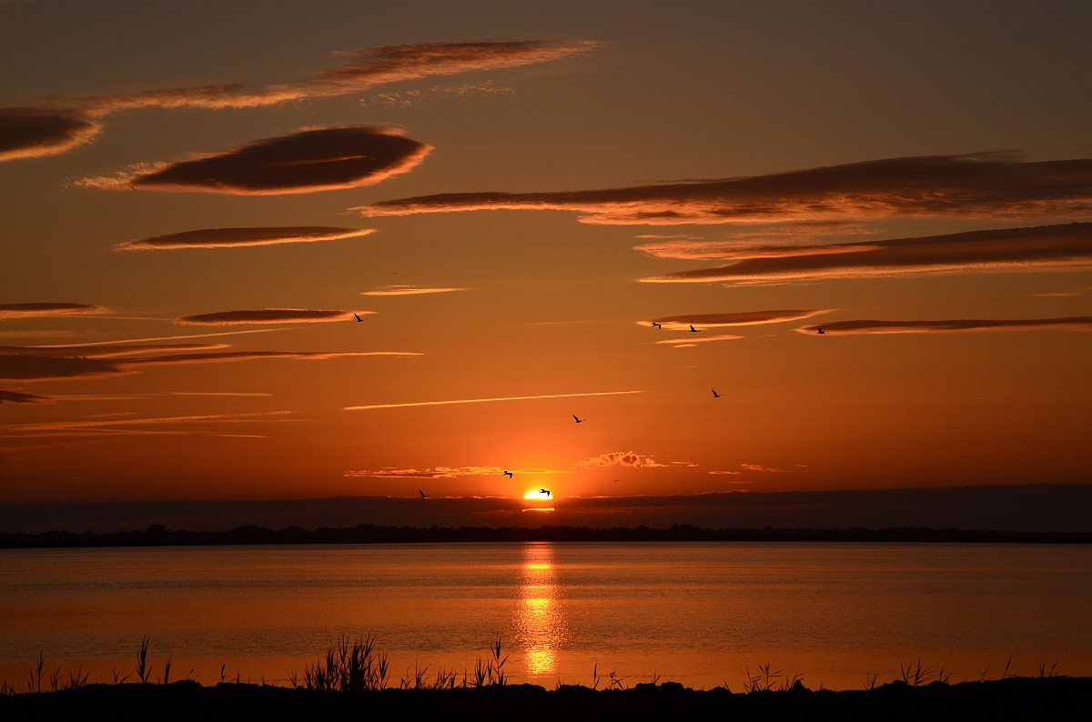 Tramonto in Camargue