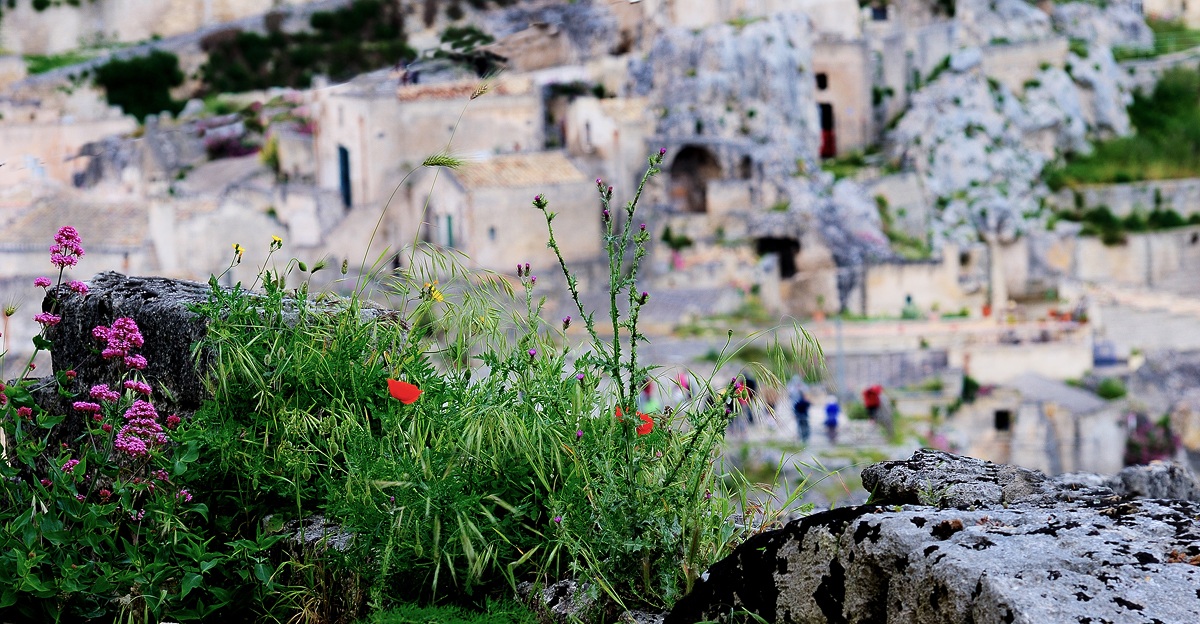Matera
