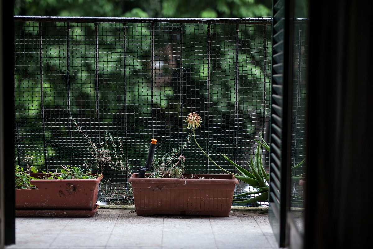 Consistency Fire Art@1.4 50 iso 200