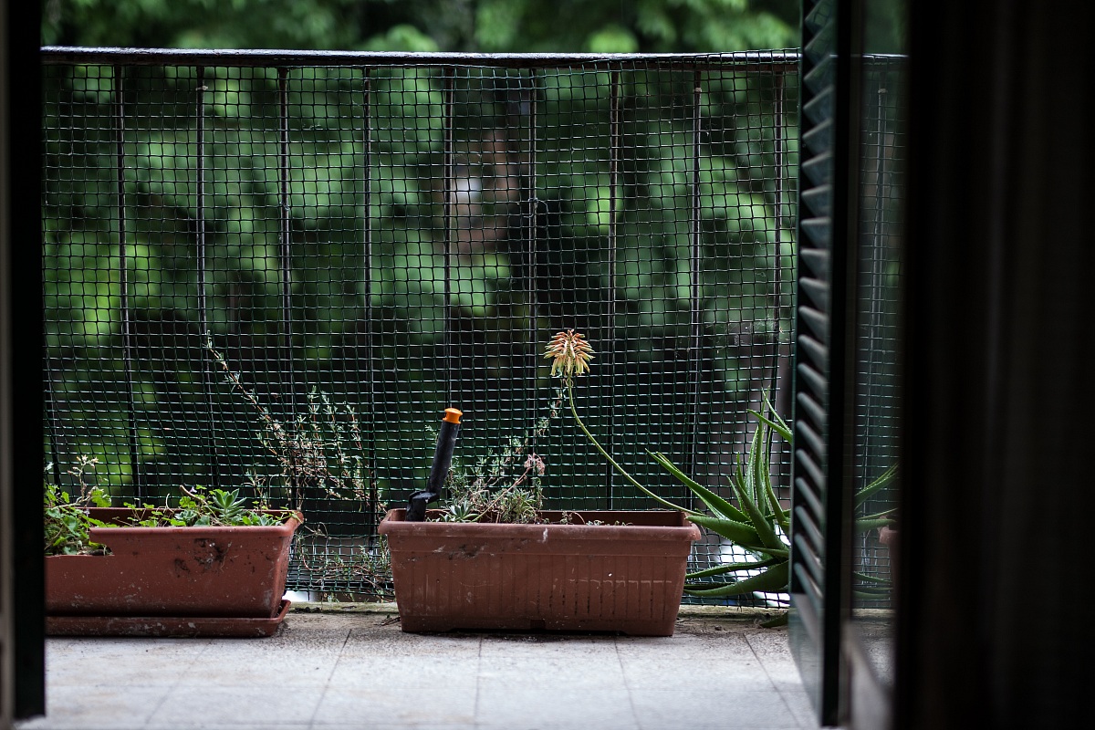 Consistency Fire Art@1.4 50 iso 200