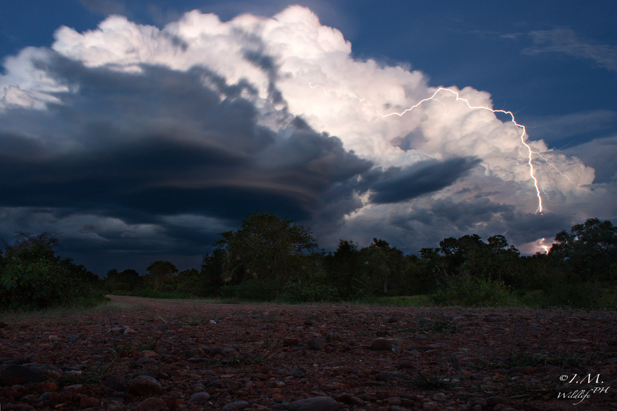 Quando la tempesta incalza