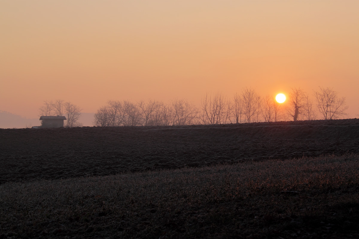 Alba di Sant'Antonio