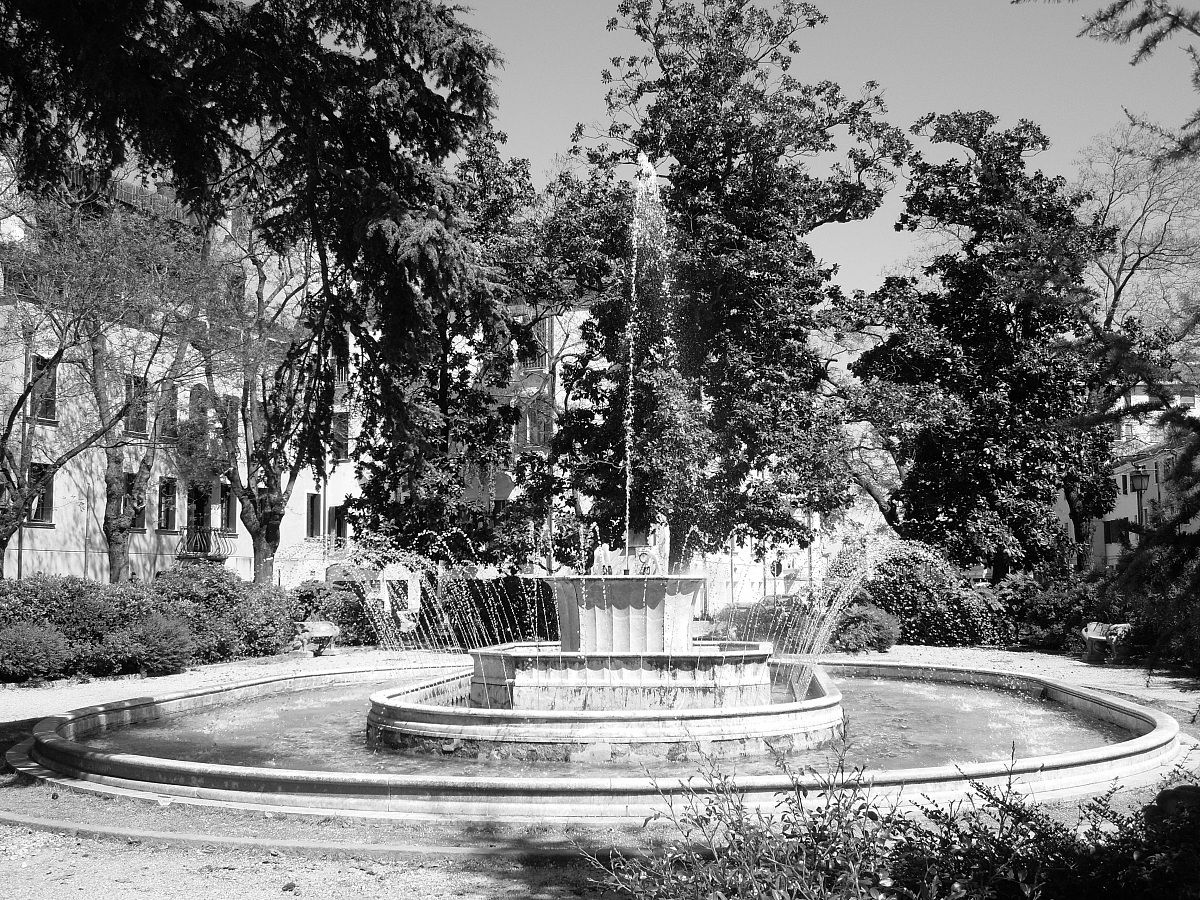 Fountain Square Rome - Rovigo