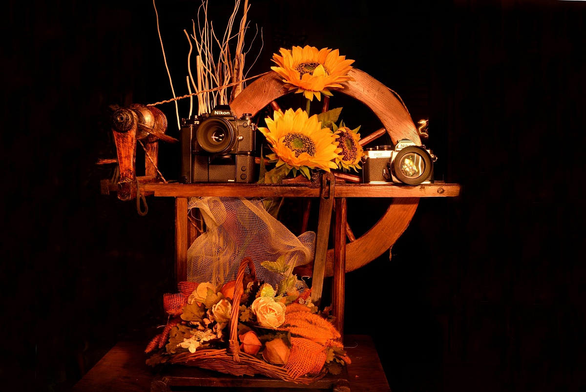 nikon f3 fm2 and the legendary, old memories