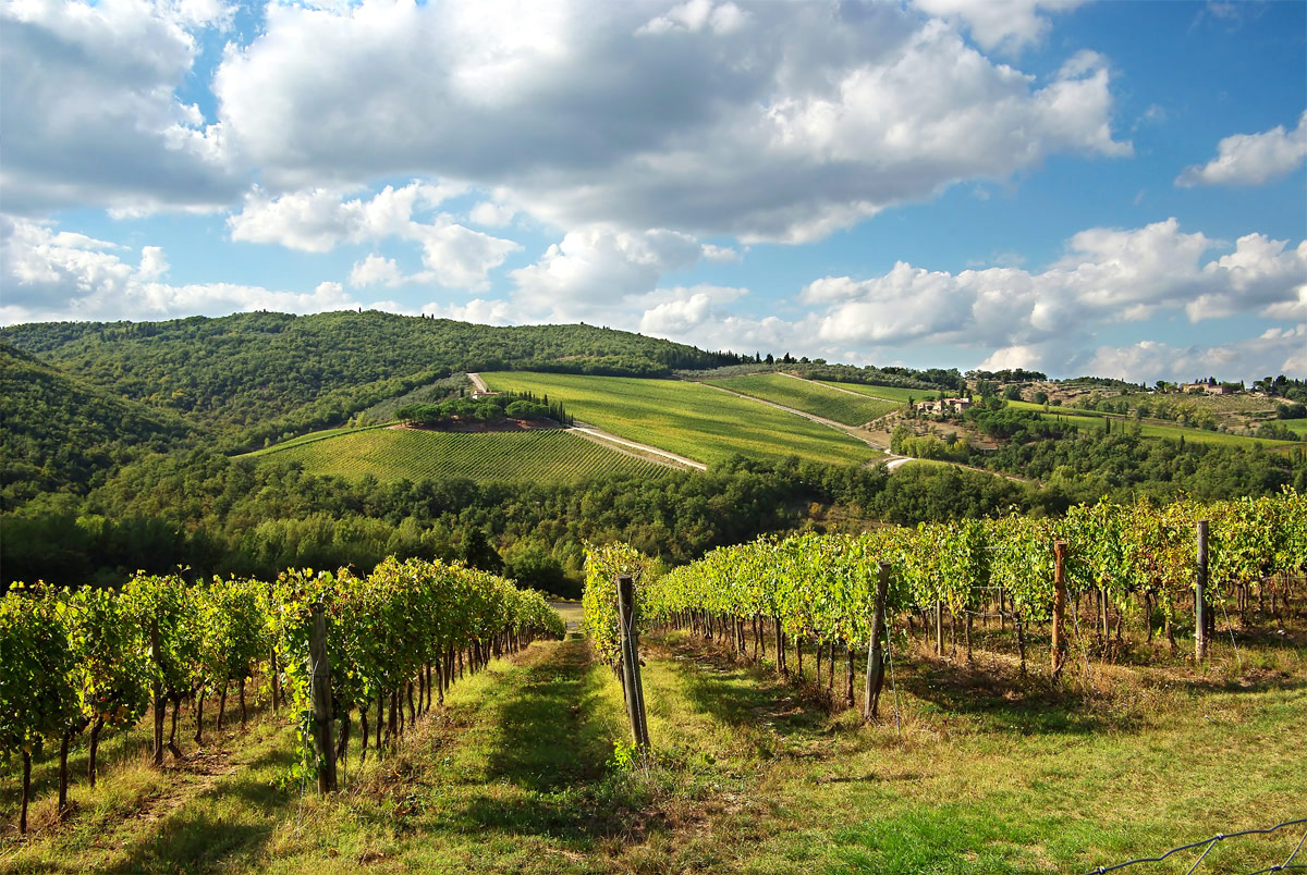 Il Chianti