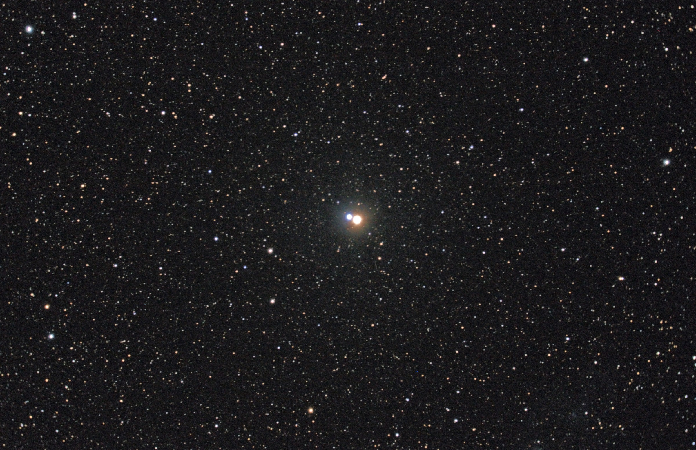Albireo